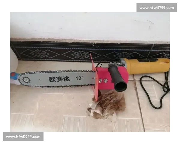 国外高效伐木:技术如何做到省时省力? 国外高效伐木:技术如何做到省时省力?